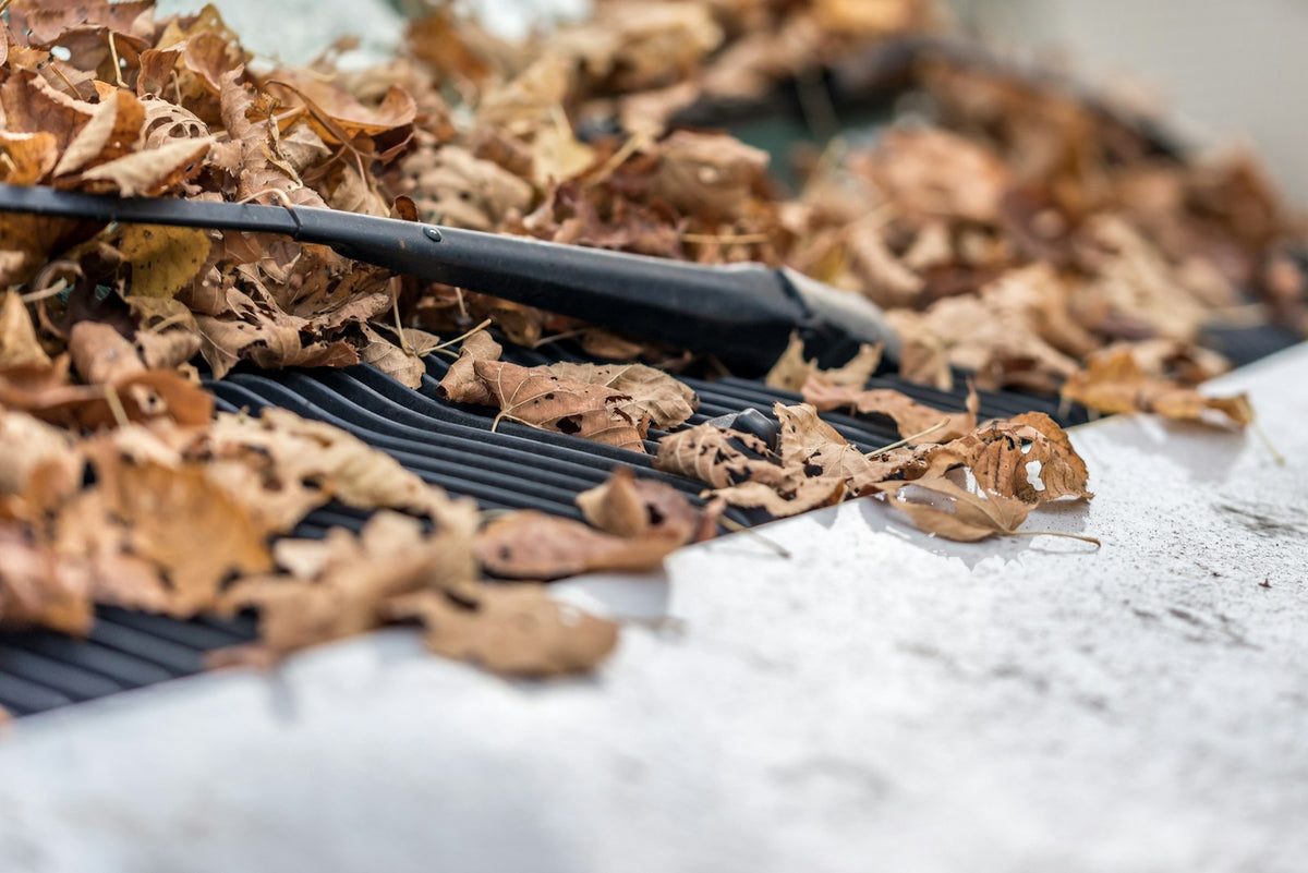 A pile of leaves sitting on top of a metal grate