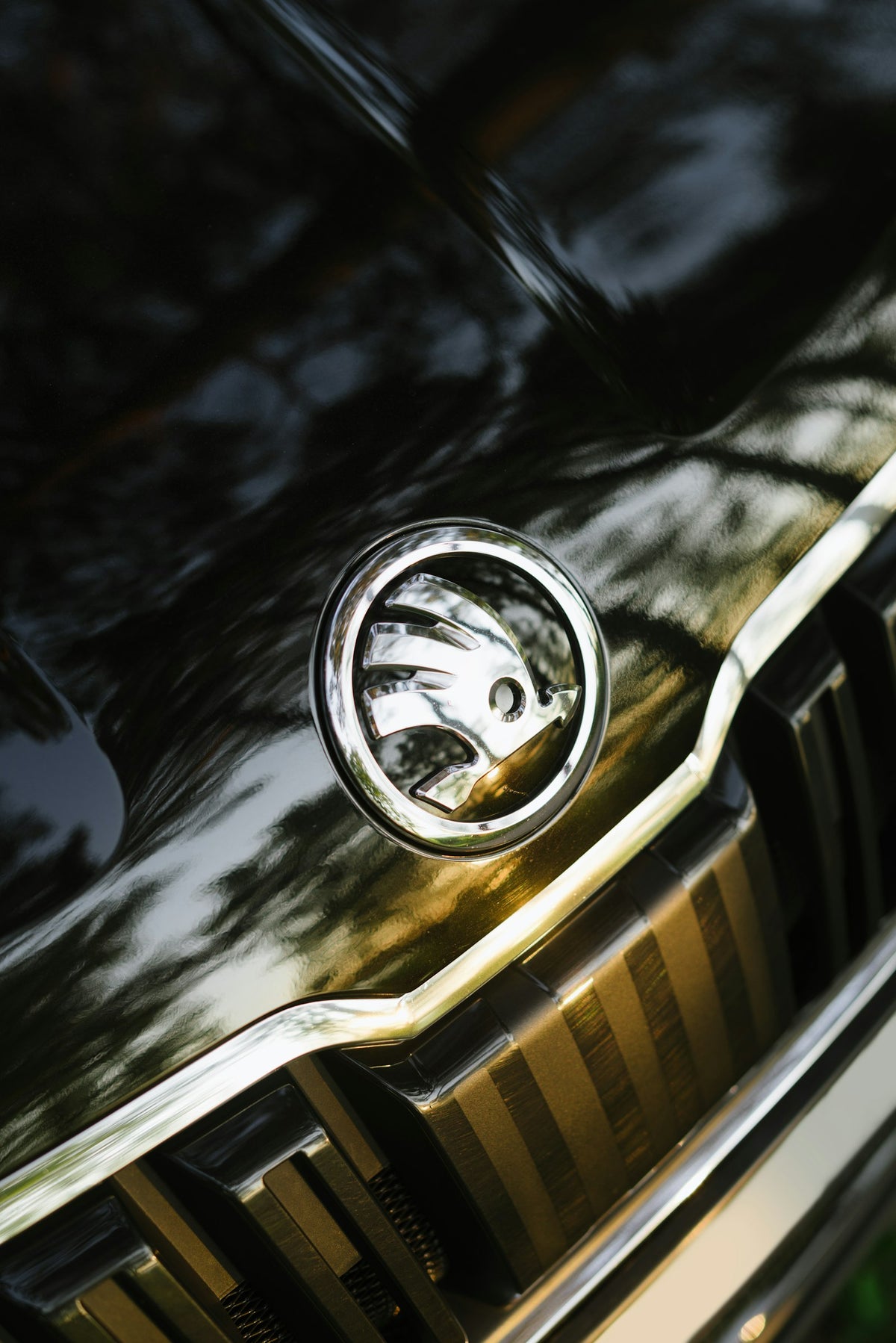 a close up of a car's head with a watch on it